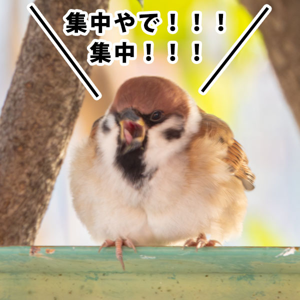 �u�X�Y���v�ō�����󌱐������p�摜�i�΁j