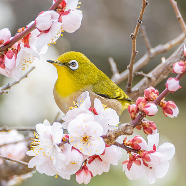 ���W��������~��