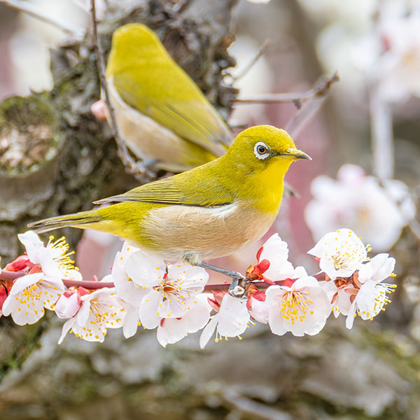 ���W��������~��