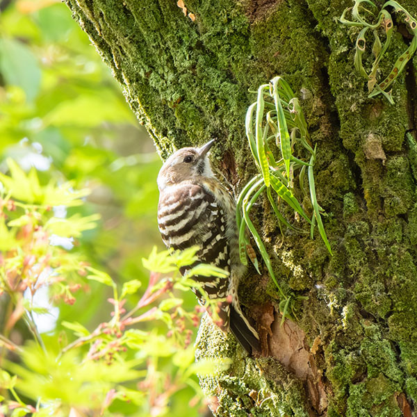 �R�Q�����������