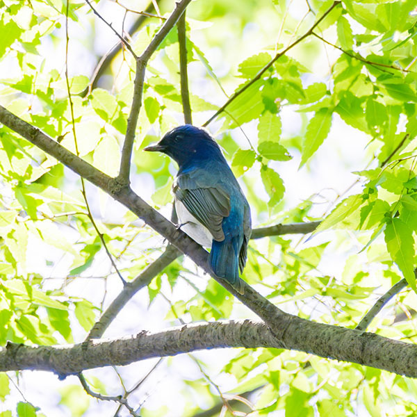 �I�I����