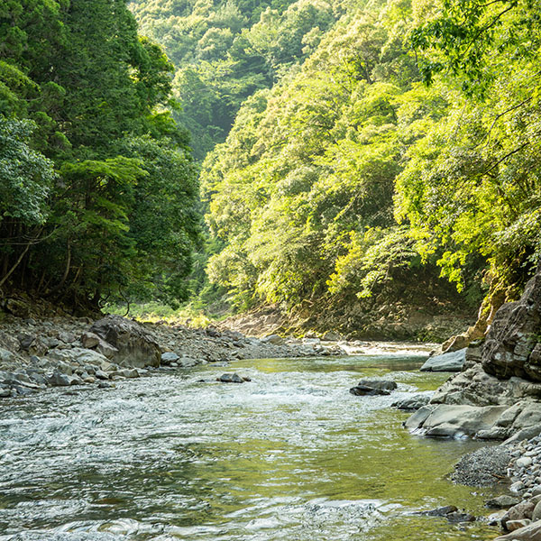 �ޗǁ^�\�Ð���ʂ̕��i