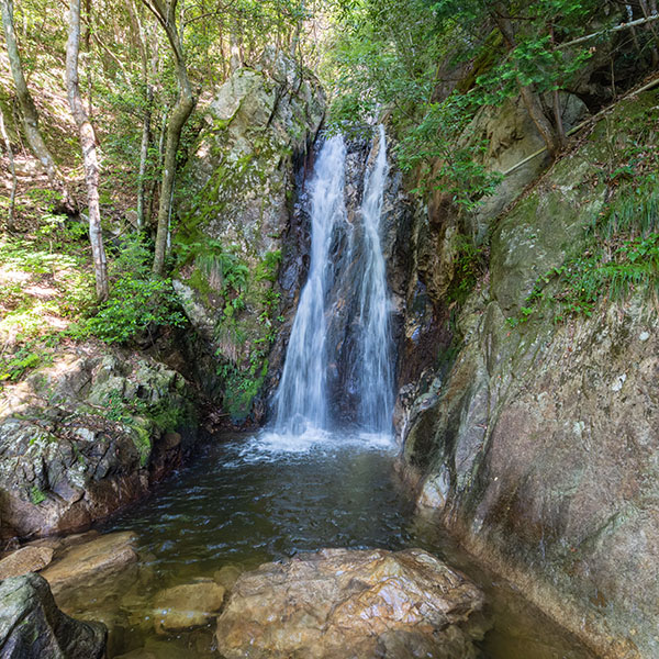 �k�~�̑�i����j�^�ޗǌ�