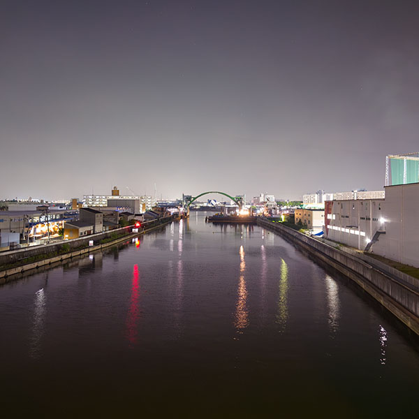 ���s���̖�i