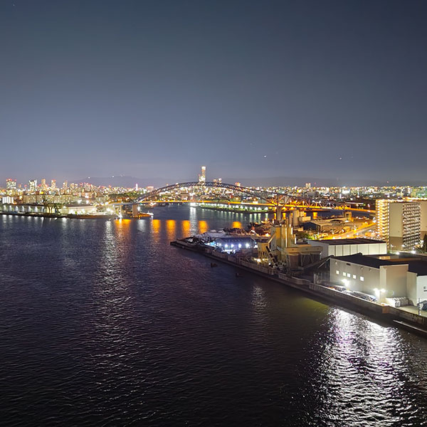 ����`�̖�i