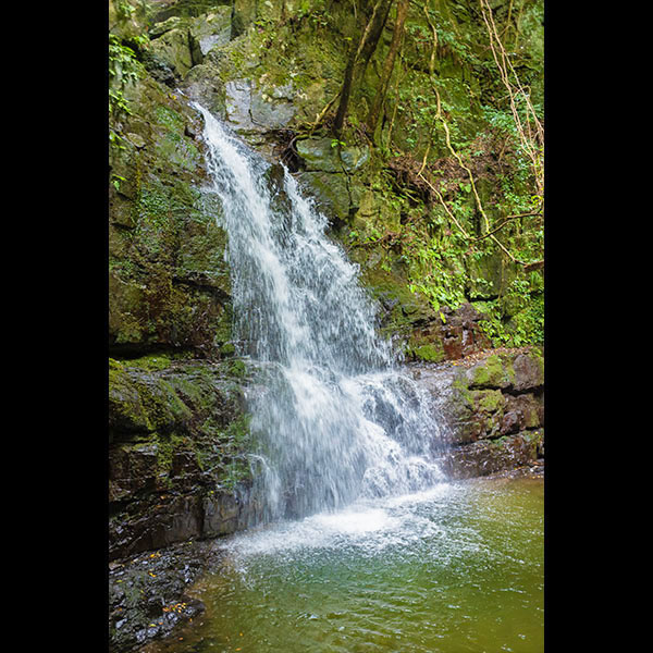 �͓�����s�^�r��