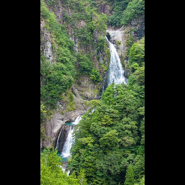 �ޗǌ��^�s�����d�̑�