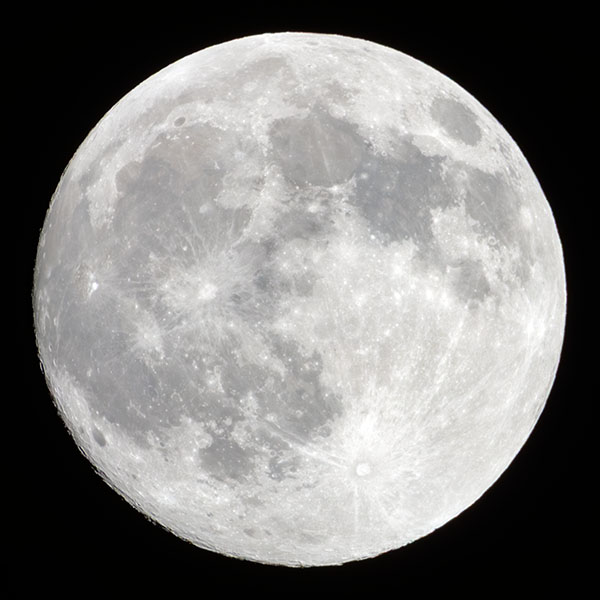 ���H�̖���