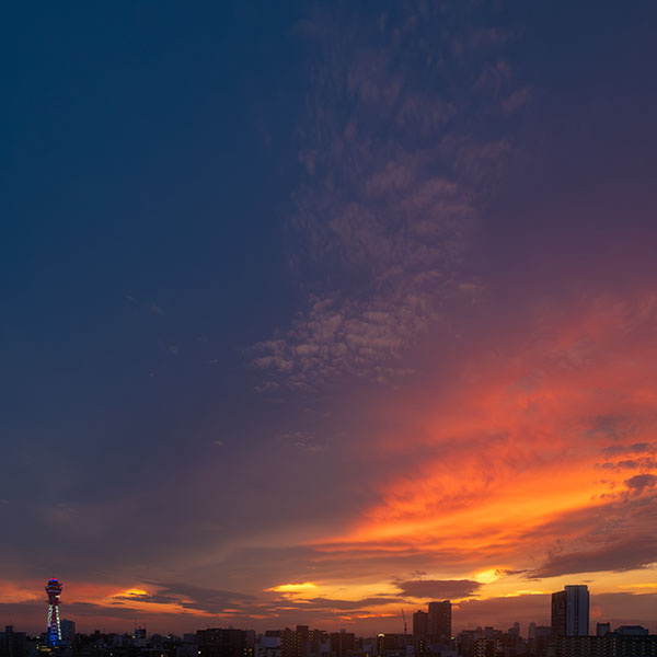 �ʓV�t���܂ޗ[�i