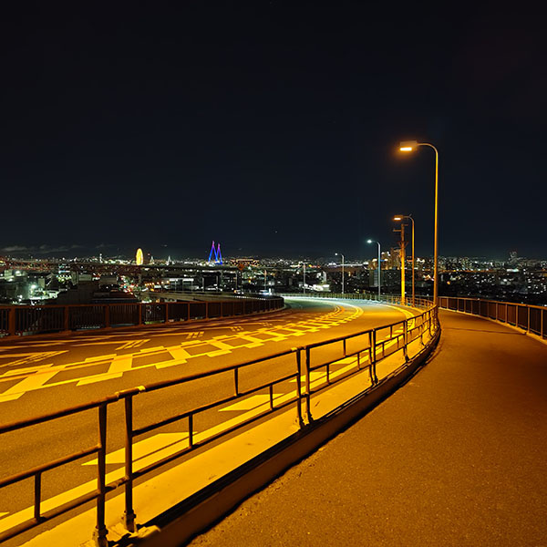 ���s���̖�i