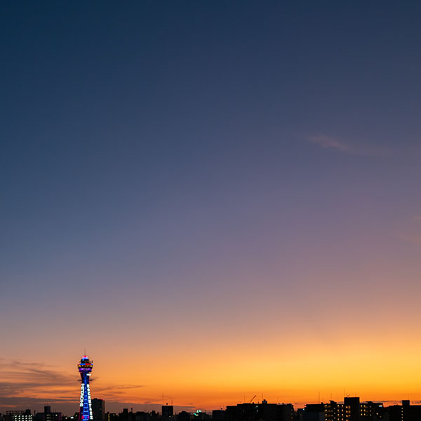 �ʓV�t���܂ޗ[�i