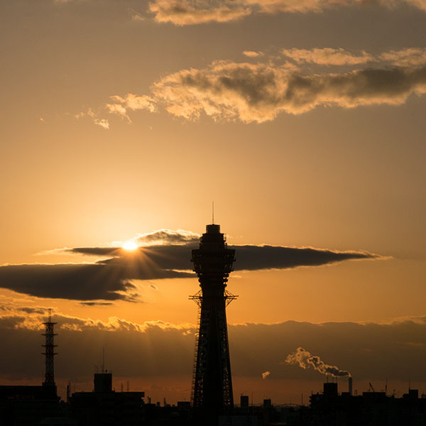 �{�N���ǂ����X�������肢�\���グ�܂��B