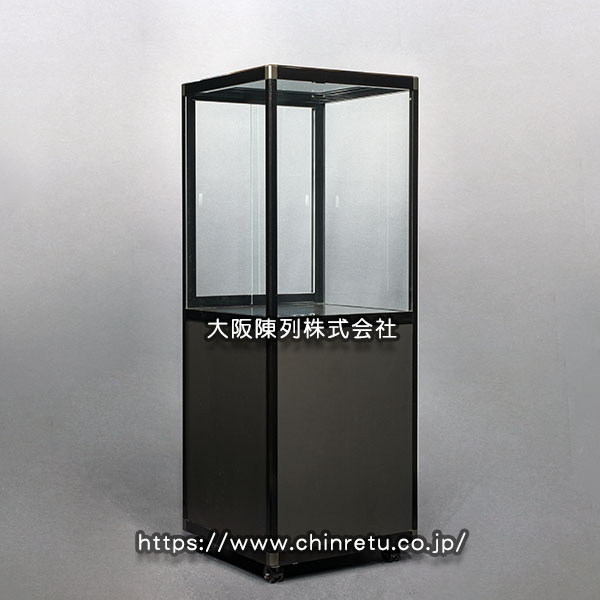 �l�l���^���p�i�i����j�W���p�R���N�V�����P�[�X