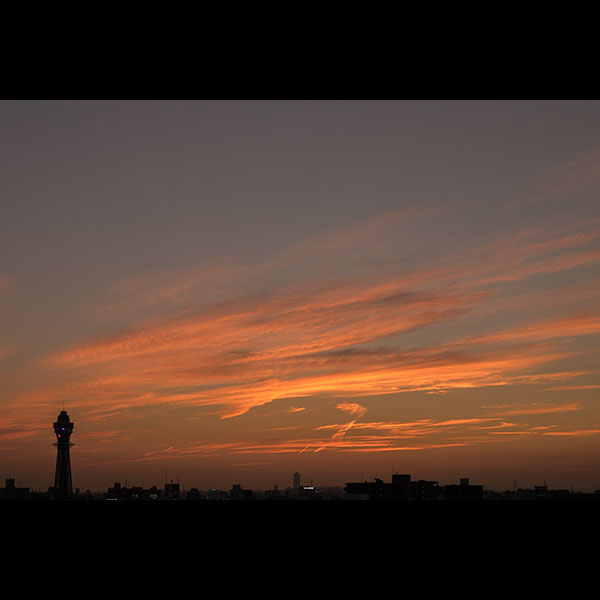 �ʓV�t���܂ޗ[�i