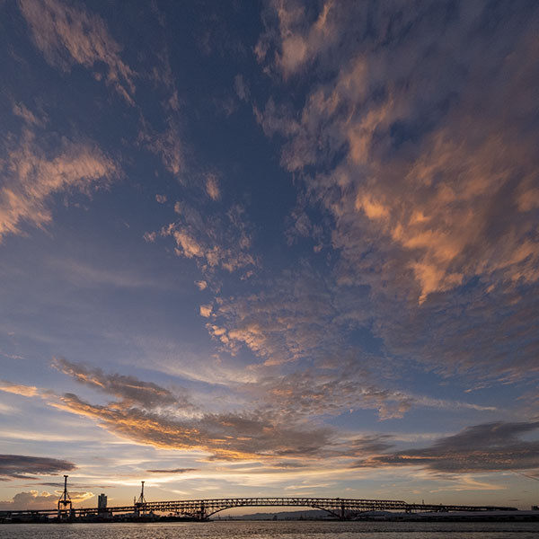 ����`�̗[�i