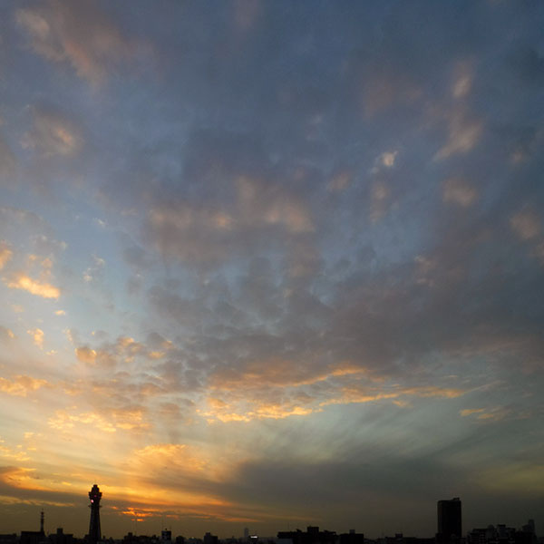 �ʓV�t���܂ޗ[�i