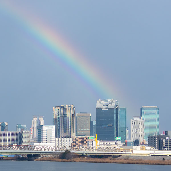 ����勴����B�����~�c�X�J�C�r���Ɋ|�����