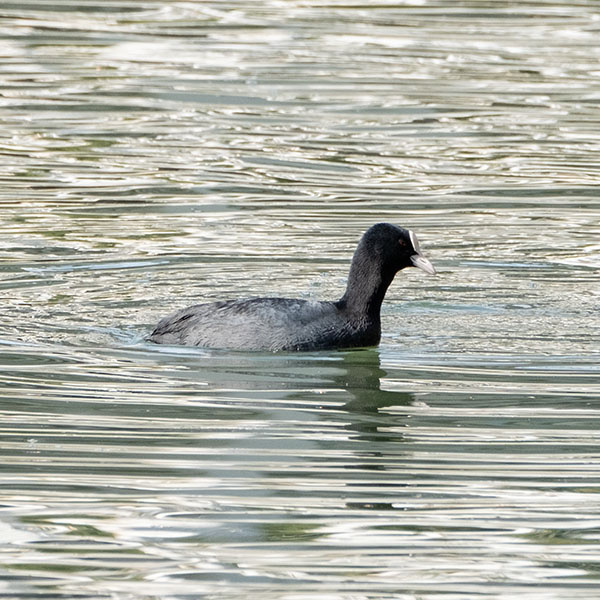 �I�I�o�����������